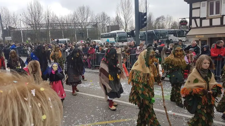 Narrenfreunde beim Umzug 2019