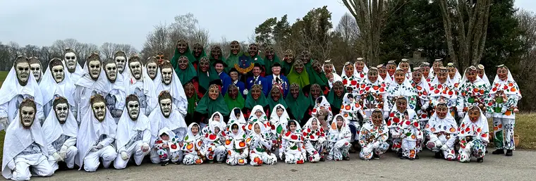 Gruppenfoto der Narrenzunft (Bannerbild)