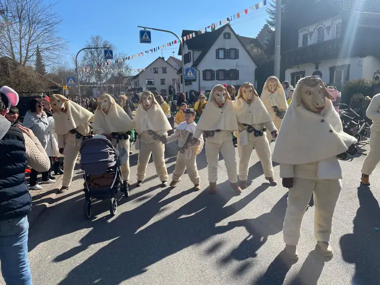 Maierhof-Schäfle beim Rosenmontagsumzug 2025