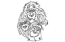 Logo Narrenzunft Weiler 1989 e.V.